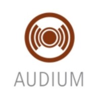 AUDIUM Consultancy logo - Similar company to Audium