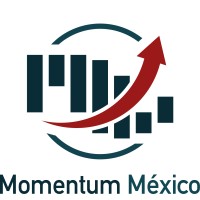 Momentum Mexico logo - Similar company to Project 502