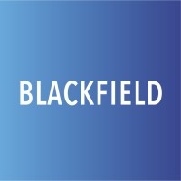 Blackfield Consulting logo - Similar company to Work-Tech | Werving En Selectie