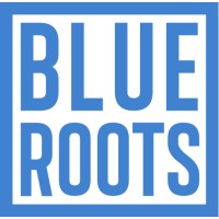 Blue Roots Timber logo - Similar company to Lumber Plus