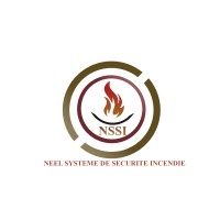 NSSI logo - Similar company to Nssi