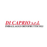 Di Caprio s.r.l. logo - Similar company to Aerre Srl