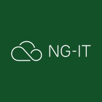NG-IT logo - Similar company to Nexstor