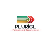 Pluriel Maroc logo - Similar company to Pluriel