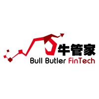 Bull Butler Fintech Services Limited