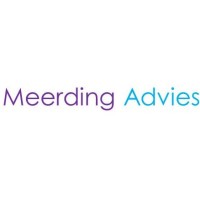Meerding Advies logo - Similar company to Meerding Metaal B.V.