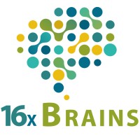 16Xbrains