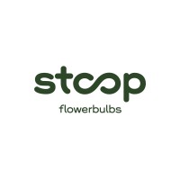 Stoop Flowerbulbs Holland logo - Similar company to Forever Bulbs