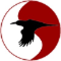 Ravenwerks logo - Similar company to Leeper & Associates