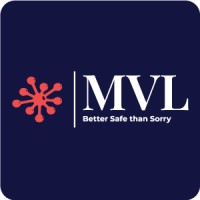 MVL CAPITAL CORP logo - Similar company to Go Global Awards