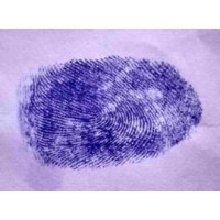 ABCD Demo logo - Similar company to V Shape Consultancy