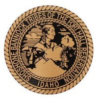 Shoshone Bannock Tribal Health and Human Services logo - Similar company to Collaborative Tech Solutions