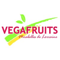 Vegafruits logo - Similar company to Moritz Sas