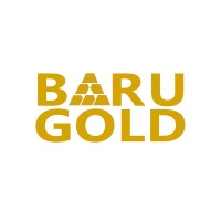 Baru Gold Corp. logo - Similar company to X