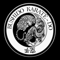 Instituto Cultural e Esportivo Força Jovem Bushido logo - Similar company to Projeto Ruas