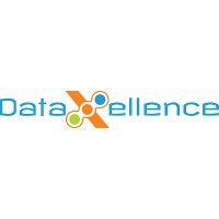 DataXellence logo - Similar company to Mp Square Consultants