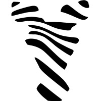 Look for Zebras logo - Similar company to Bold Zebras