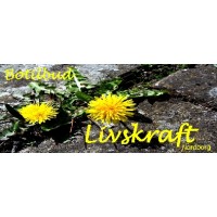 Botilbud Livskraft, Nordborg logo - Similar company to Birketoften Aps