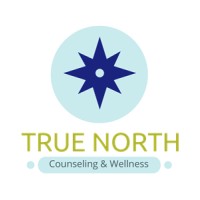 True North Counseling & Wellness logo - Similar company to Third Eye Coach Development