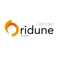 Oridune logo - Similar company to Huruf Tech