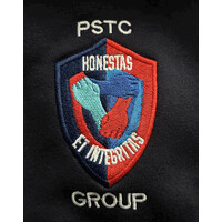 PSTC Group Ltd logo - Similar company to Vip Equalizer