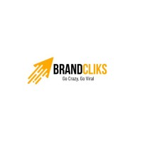 BrandCliks logo - Similar company to Digitalnaukri