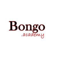 Bongo Academy logo - Similar company to Silvermind Solutions
