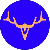 DAIN logo - Similar company to Selfcast