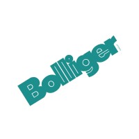 Bolliger UK Ltd logo - Similar company to Hse Store