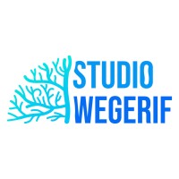 Studio Wegerif logo - Similar company to Novellu Studios