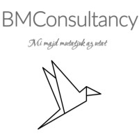 Business Management Consultancy logo - Similar company to Abotts - Associação Brasileira De Otts E Streamings