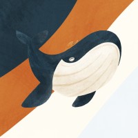 Fyn Digital