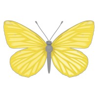 Callaix