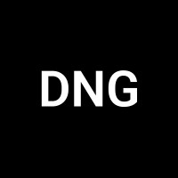 DNG logo - Similar company to Strategye