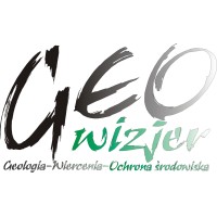 GEOWIZJER logo - Similar company to Remea Pl