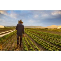 Mega Farms Inc logo - Similar company to Orcons Systems Limited