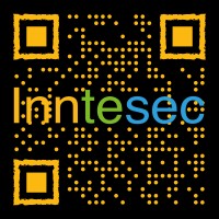 Inntesec logo - Similar company to My Support Spa.