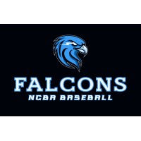 Falcon Club Baseball logo - Similar company to Texas Force Baseball