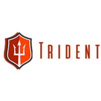 Trident Shipping logo - Similar company to Trident Lng