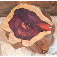 I & E Builders, Inc. (I & E Woodcraft)