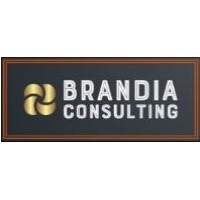 Brandia Consulting logo - Similar company to Scopious Iot