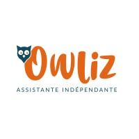 OWLIZ logo - Similar company to Digital Integral