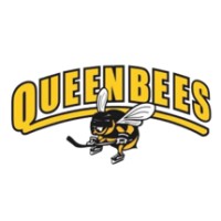 Queen Bees Womens Ice Hockey Club logo - Similar company to Oxford University Ice Hockey Club