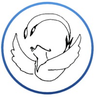 CYRUScreators logo - Similar company to Amaaré – Amaaré