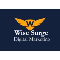 WiseSurge logo - Similar company to True Engagement Media