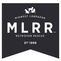 Midwest Labrador Retriever Rescue, Inc.