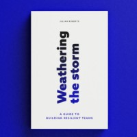 Weathering the Storm: A Guide to Building Resilient Teams logo - Similar company to Helping Organisations Thrive Podcast