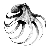 Fondation Octopus logo - Similar company to Oceaneye.Ch