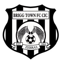 Brigg Town Football Club (Cic)