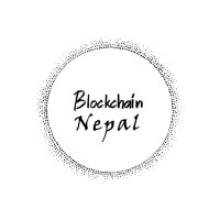 Blockchain Nepal logo - Similar company to Spyderslab